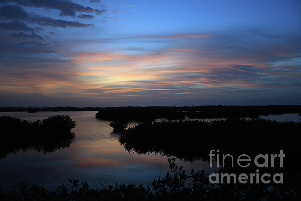 Brenda Harle - Sunrise In The Mangroves