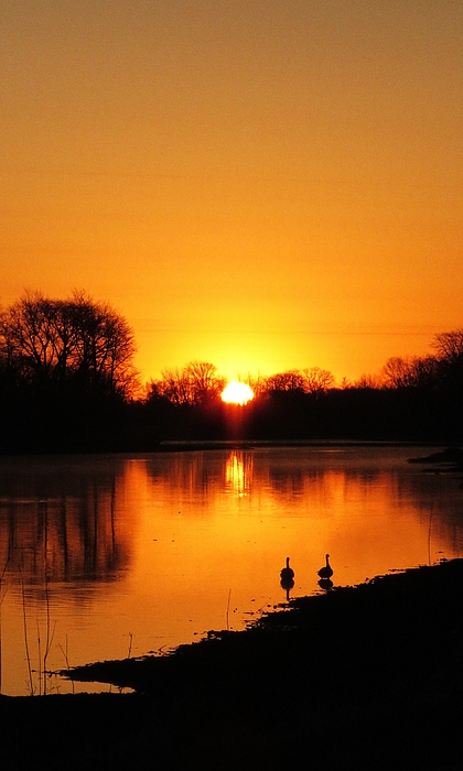 Lori Frisch - Sunrise on Fisher Lake 