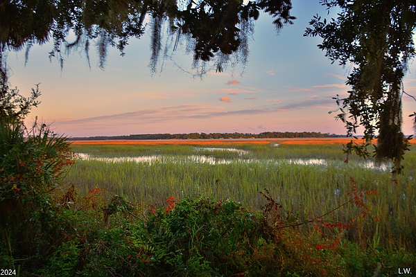 Lisa Wooten - Sunrise On The Marsh