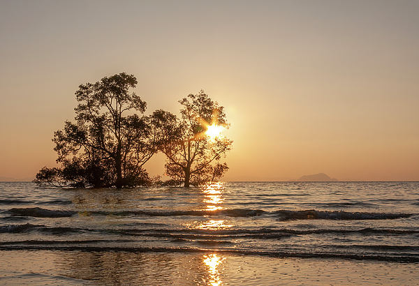 Kevin Hellon - Sunrise over mangrove trees, Phang Nga Bay, Phuket, Thailand