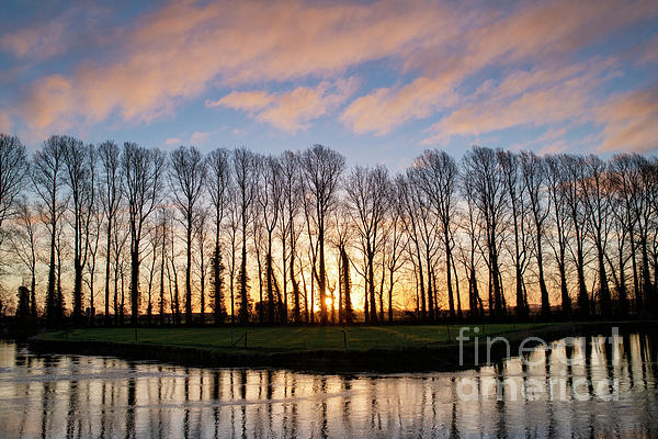https://images.fineartamerica.com/images/artworkimages/medium/3/sunrise-trees-and-water-tim-gainey.jpg