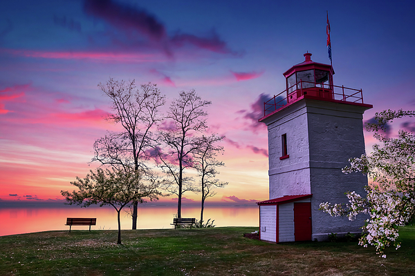 Sunset Art