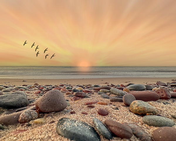 Patti Deters - Sunset Beach Pebbles