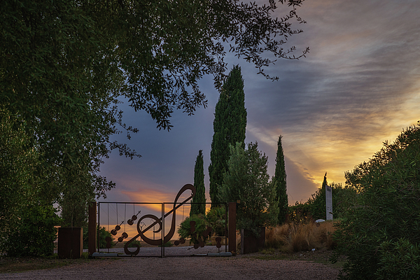 Nina Kulishova - Sunset In The BotanicalDryGarden. Orbetello. Italy