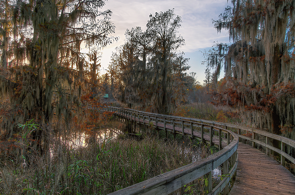 Steve Rich - Sunset on Phinizy Swamp Nature Park - Augusta Georgia