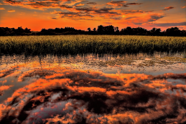 https://images.fineartamerica.com/images/artworkimages/medium/3/sunset-reflection-on-the-rib-river-dale-kauzlaric.jpg