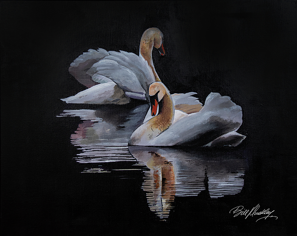 Bill Dunkley - Swan Reflections