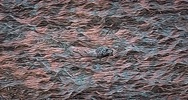 Marv Vandehey - Swimming Harbor Seal Digital Art