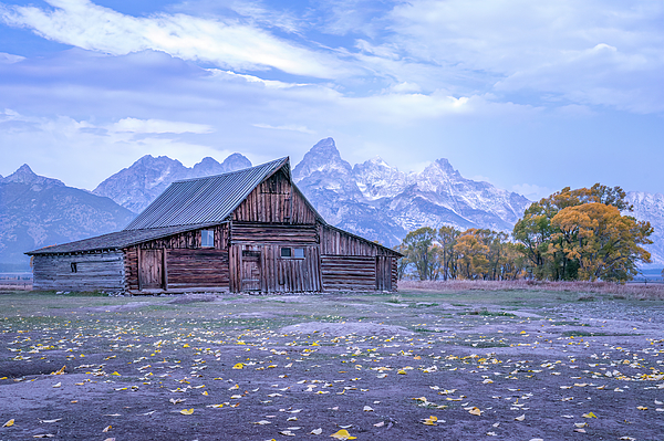 Fall Photographs