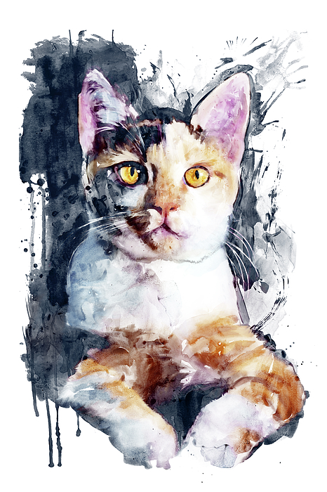 Marian Voicu - Tabby Cat Portrait