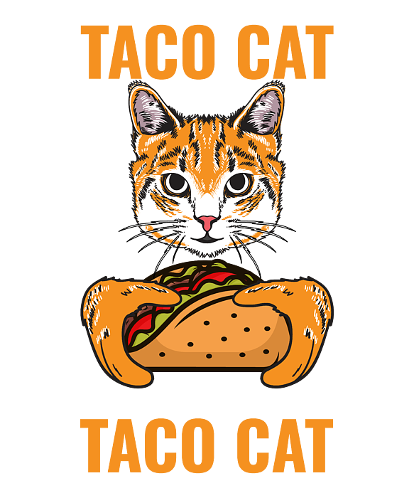 Tacocat spelled backwards is cat clearance taco