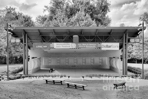 https://images.fineartamerica.com/images/artworkimages/medium/3/tall-trees-amphitheater-front-view-black-and-white-adam-jewell.jpg