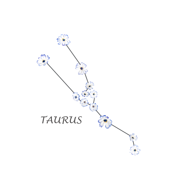 Taurus Symbol Tattoo Taurus Horoscope Constellation Mini -  Hong Kong