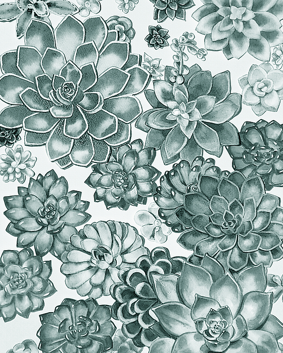 Irina Sztukowski - Teal Gray Succulent Plants Garden Watercolor Art Decor I   
