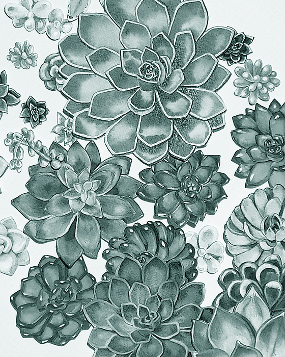 Irina Sztukowski - Teal Gray Succulent Plants Garden Watercolor Art Decor II 