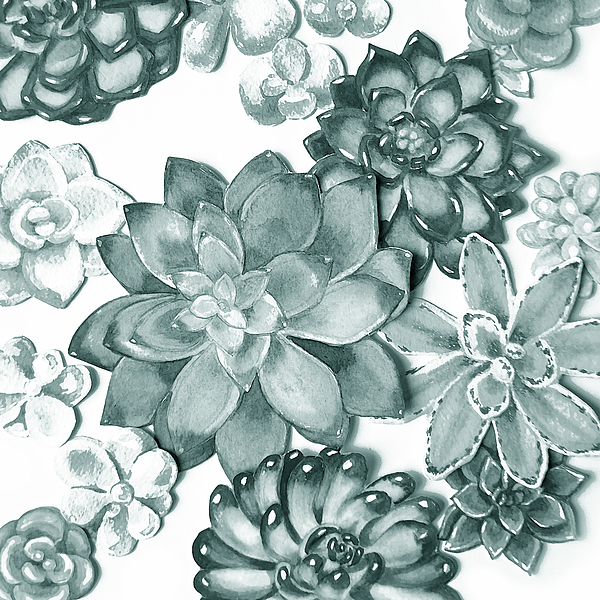 Irina Sztukowski - Teal Gray Succulent Plants Garden Watercolor Art Decor IX