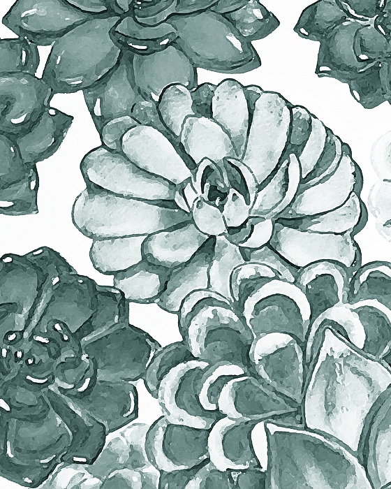Irina Sztukowski - Teal Gray Succulent Plants Garden Watercolor Art Decor VII
