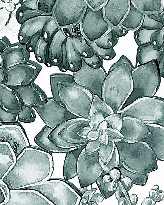 Irina Sztukowski - Teal Gray Succulent Plants Garden Watercolor Art Decor VIII