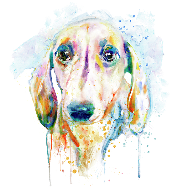 Marian Voicu - Teckel Dog Watercolor Portrait