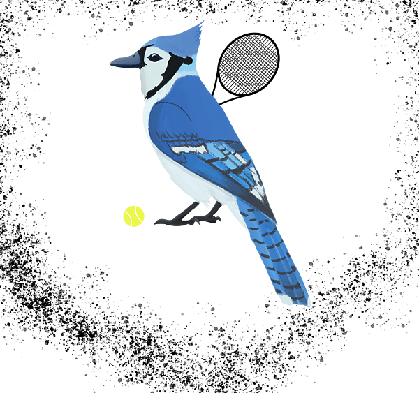 Blue Jay PNG - Toronto Blue Jays, Flying Blue Jay, Blue Jay Mascot