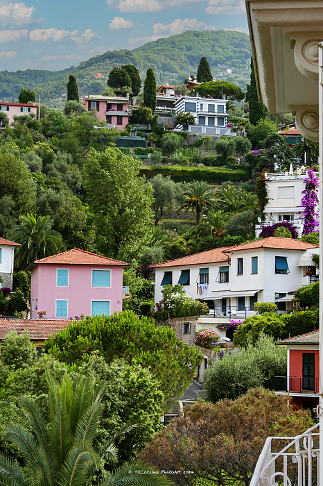Tim Corzine - Terraced Homes of Rapallo