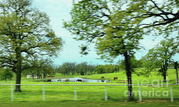 Lorraine Caporaso Photography - Texas Drive-By_Canvas