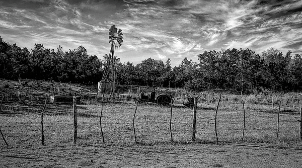 Judy Vincent - Texas Hill Country Black and White