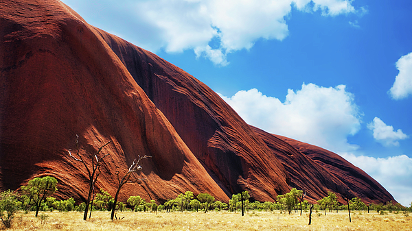 Lexa Harpell - Textures of Uluru - Australia