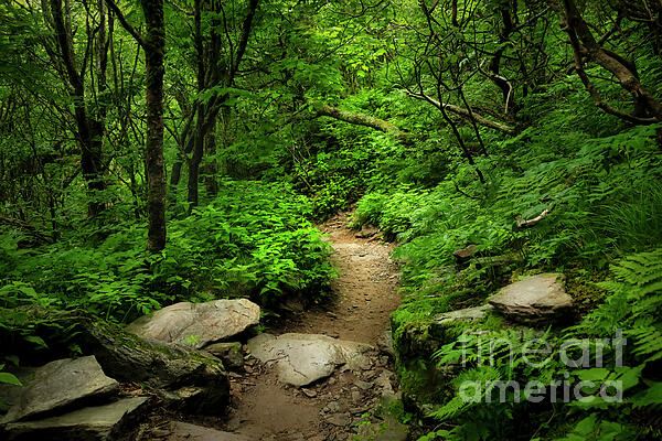 Shelia Hunt - The Beautiful Appalachian Trail