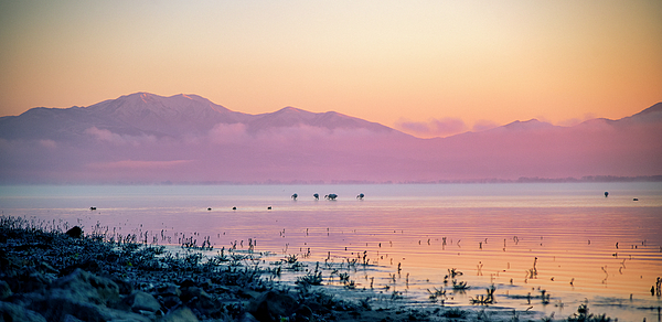 Manolis Tsantakis - The beauty of the lake