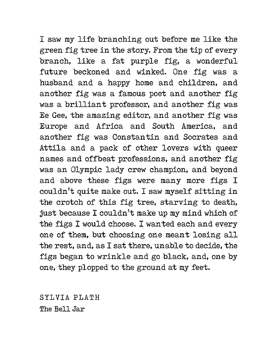 The Bell Jar - Sylvia Plath Quote - Literature - Typography Print 3 -  Vintage Digital Art by Studio Grafiikka - Pixels