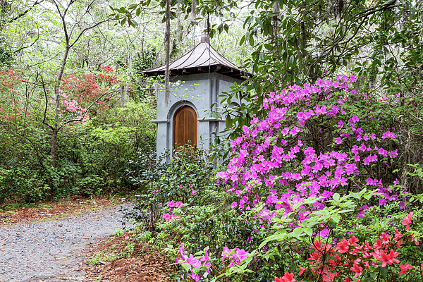 Magnolia Plantation And Garden Art