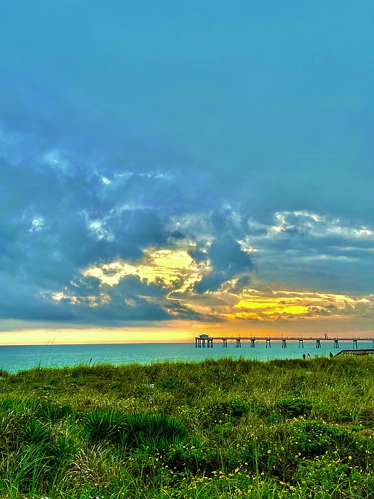 Florida Art