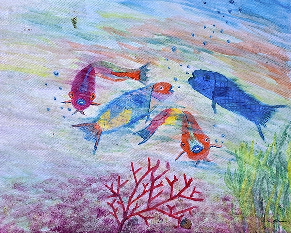 Lucia Waterson - The colorful parrotfish 
