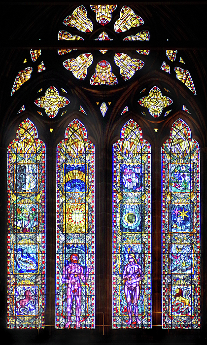 Douglas Taylor - The Creation By Francis Spear, Great West Window, Glasgow Cathedral, 1958