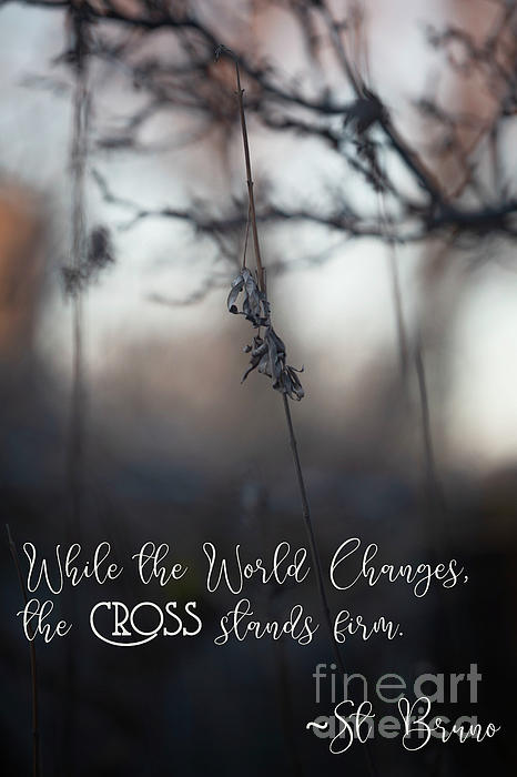 Natural Abstract - The Cross Stands Firm