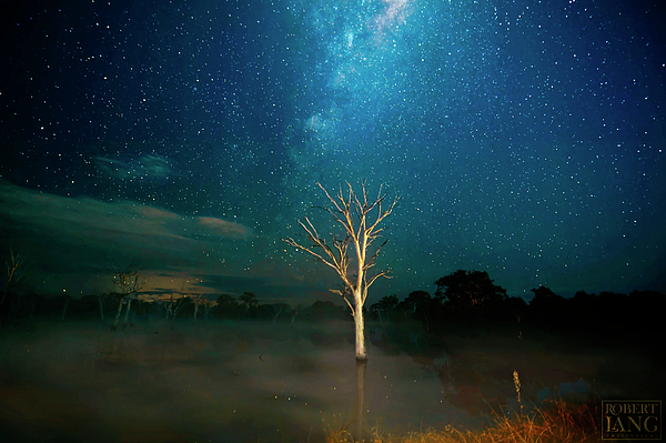 Australia Art