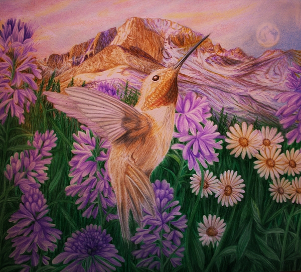 Deidra Smith - The Flying Jewels of Rocky Mountain National Park