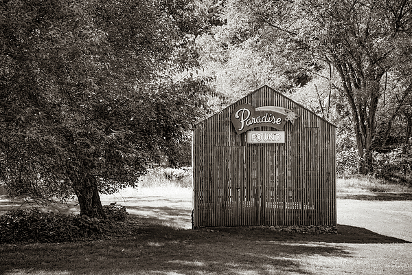 Paradise Found Neon Sign, Coler Mountain Bike Preserve, Selective Color, Bentonville Arkansas, Square Format, store Black White, Barn