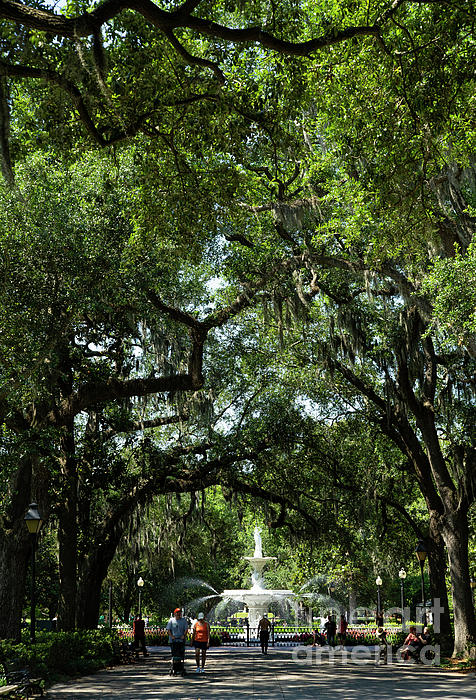 Wayne Moran - The Iconic Fountain at Forsyth Park Historic Savannah Georgia