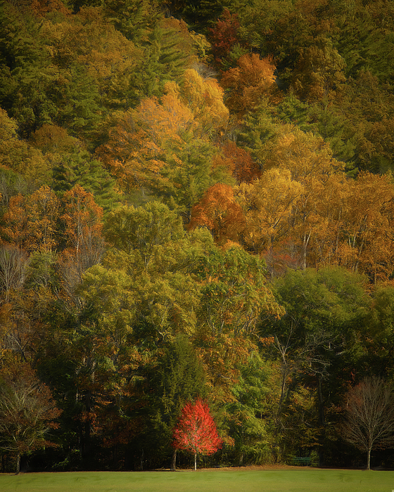 Landscape Photographs