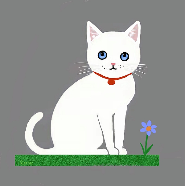Elaine Hayward - The little white cat 0