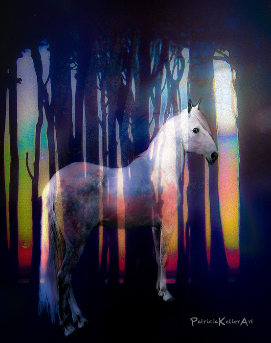 Patricia Keller - The Magical Woodland Stallion In The Light Of The Moon