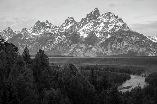 Wyoming Art