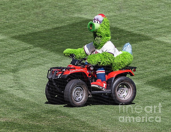 Philly Phanatic Posters for Sale - Fine Art America