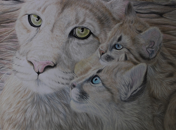 Deidra Smith - The Protective Look of a Mother Cougar with Her Cubs 