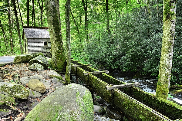 Lisa Wooten - The Reagan Mill Great Smoky Mountains