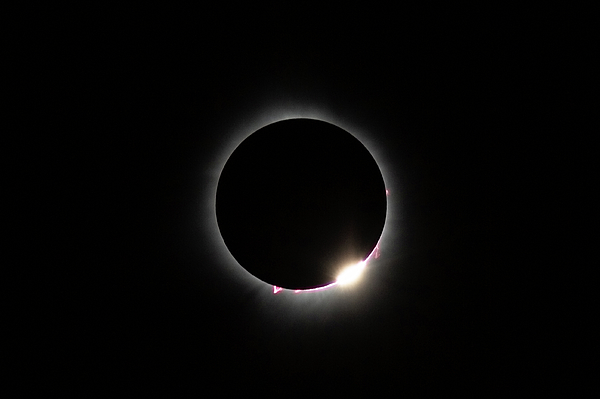 Garth Steger - The Ring - 2024 Eclipse