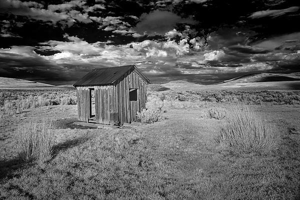 Mike Lee - The Shack - Infrared