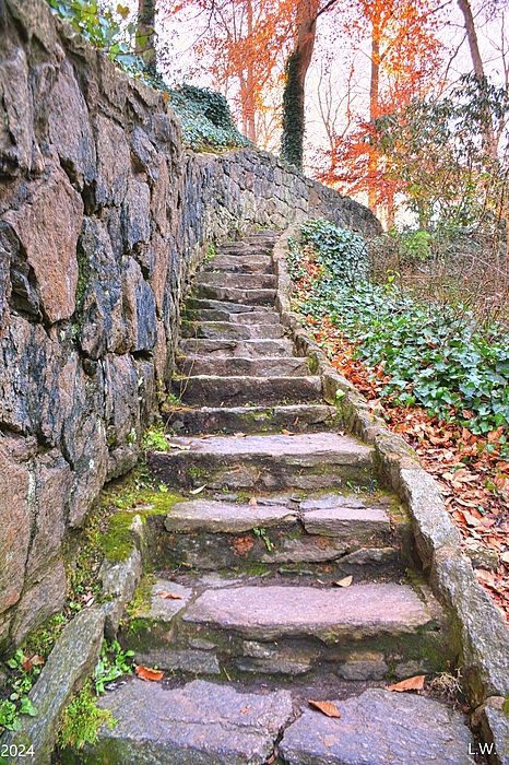 Lisa Wooten - The Stone Steps In Falls Park On The Reedy